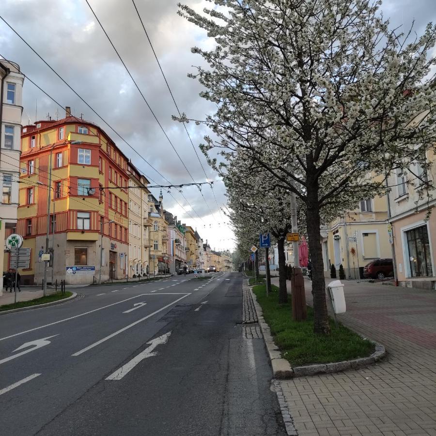 Apartmán Friedrichsruh Marianske Lazne Exterior foto
