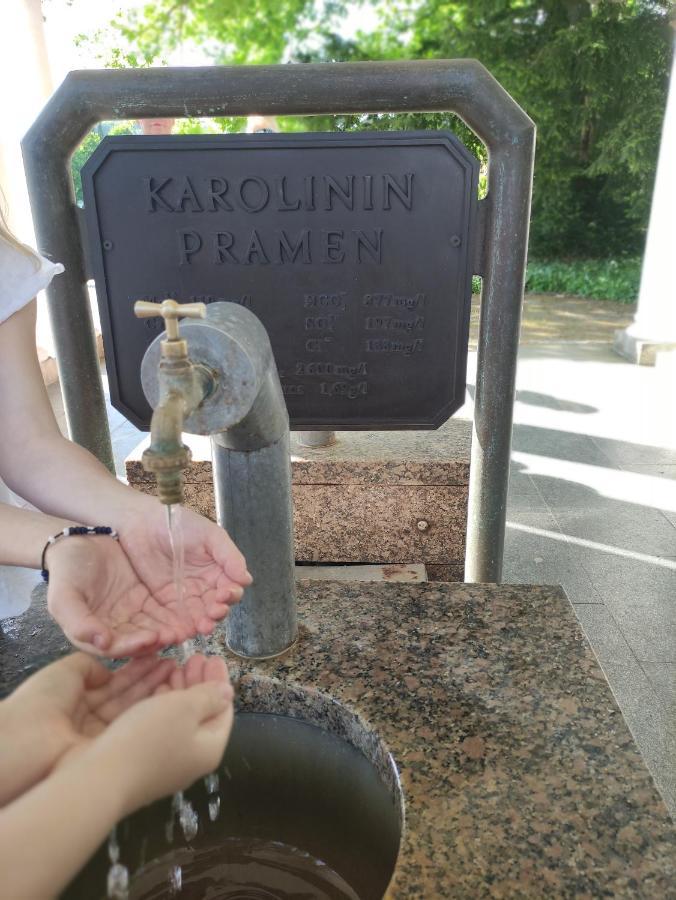 Apartmán Friedrichsruh Marianske Lazne Exterior foto